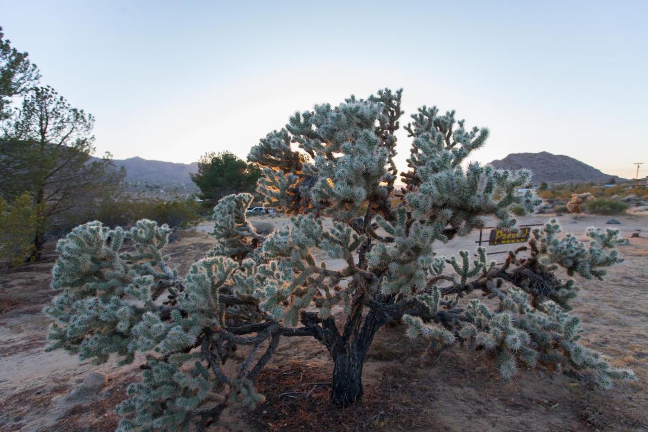 @ Marbella Lane - 10 Acres Oasis Desert Retreat! Joshua Tree Exteriör bild