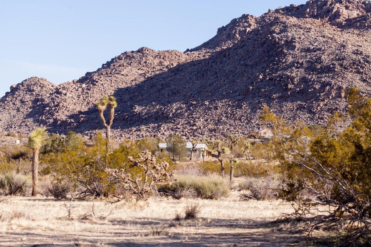 @ Marbella Lane - 10 Acres Oasis Desert Retreat! Joshua Tree Exteriör bild